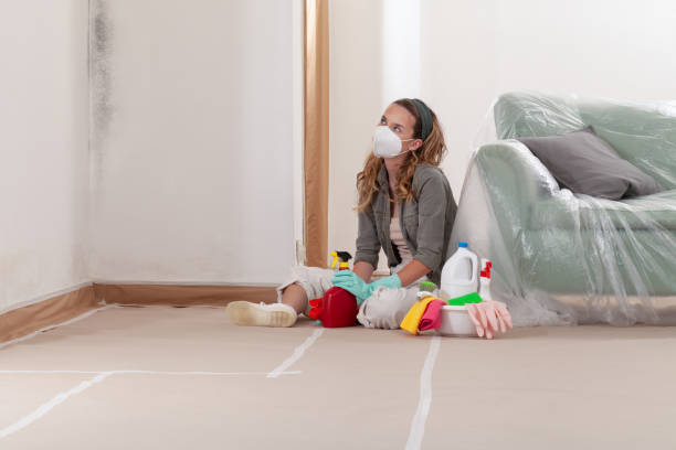 Reliable Crawl Space Mold Removal contractor in Hillside, IL by WQB Mold Removal